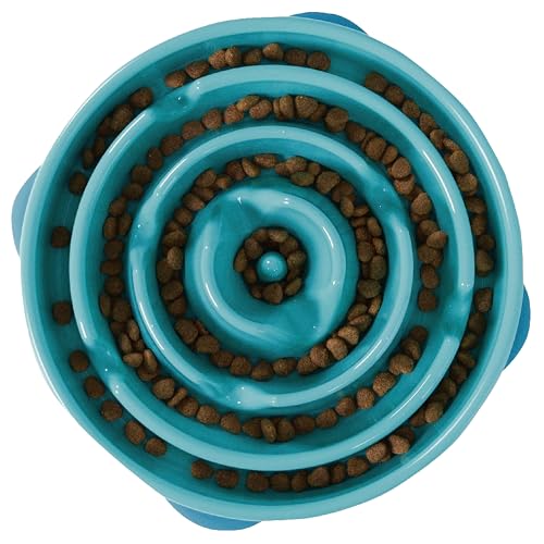 Outward Hound Fun Feeder Slo Bowl – Large 4‑Cup Capacity, Slow Feeding, Medium to Large Dogs, Non‑Slip, Turquoise, Drop Pattern