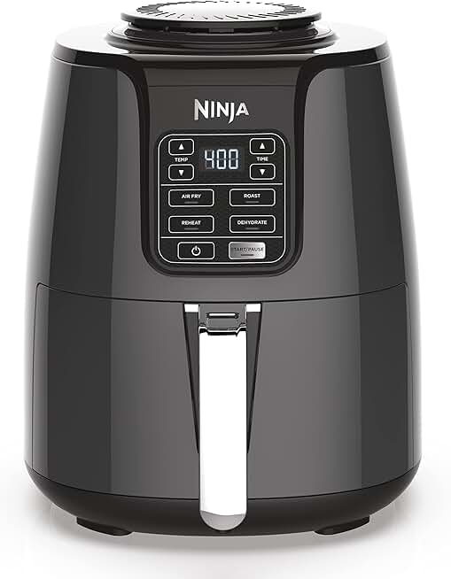 Ninja Air Fryer AF101