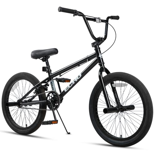 cubsala Echo 20 Inch Beginner BMX Bike for Boys Girls, Black & Black