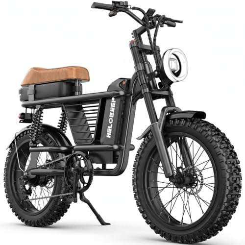 GLOBALKEEP 750W Utility Electric Cargo Bike for Adults, 20" Fat Tire Ebike with Center-Gravity Mid-Frame Basket, 48V 15.6Ah Battery, Dual Suspension City Commuter, UL 2849 Certified, Step-Thru