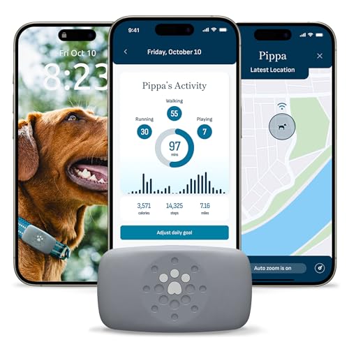 Petivity Dog GPS Tracker Powered by Purina, Waterproof Real Time Tracking GPS Dog Collar, Downloadable App, Subscription Required
