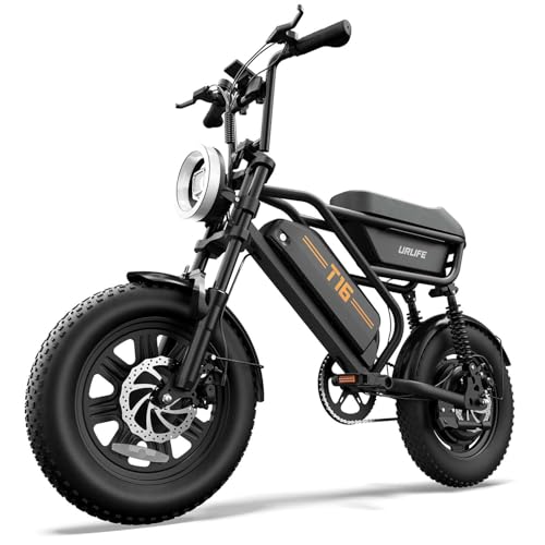 URLIFE Electric Bike for Adults/Teens, 1000W Electric Dirt Bike with 48V 13AH Battery, Up to 28MPH E-Bike, 16" Fat Tire Off-Road Electric Bike, UL 2849 Certified