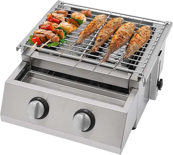 Portable Propane Tabletop Gas Grill, 2-Burners Barbecue Grill