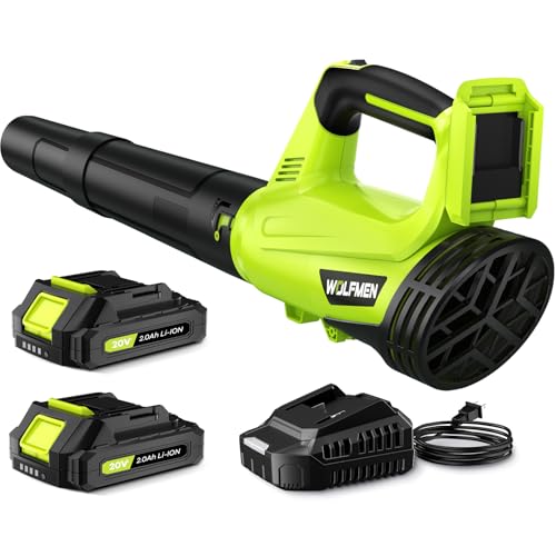 Leaf Blower, Electric Cordless Leaf Blower with 2 Batteries and Charger, 2 Speed Mode, Lightweight Leaf Blowers for Blowing Leaves, Lawn Care, Patio Cleaning and Dust