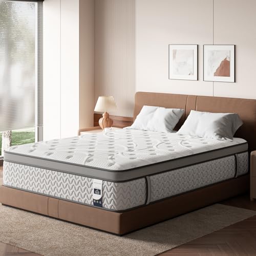 SLEEP100 Queen Mattress 12 Inch