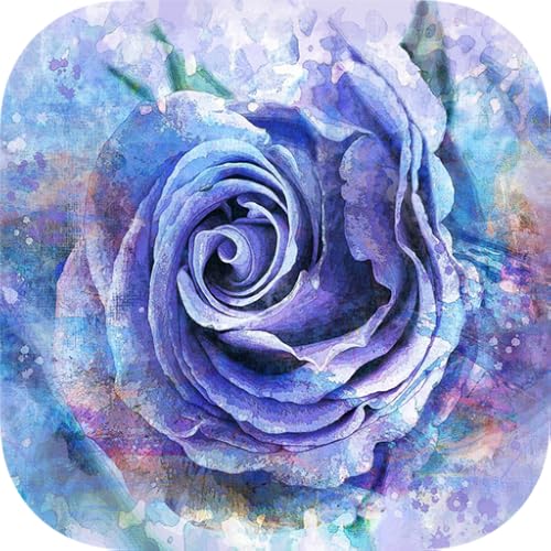 Free Guided Meditation and Relaxation