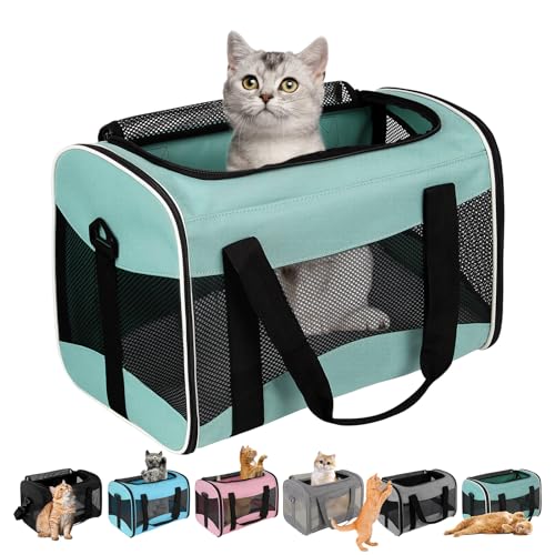 Cat Dog Carriers Soft-Sided Pet Carrier Large Cats voor middelgrote grote kat kleine hond puppy tot 16lbs TSA Airline Approved dier opvouwbare kattentransportvervoerder cat bag (17x11x11)