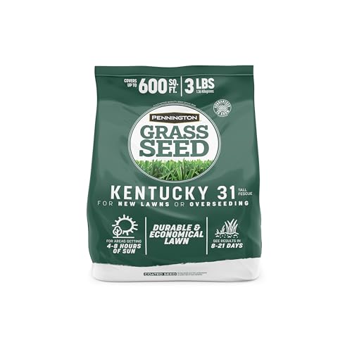 Pennington Kentucky 31 Fescue 3 LB Tall Fescue Grass Seed, Grass Seeds for Lawn