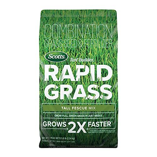 Scotts Turf Builder Rapid Grass Tall Fescue Mix - Kombination aus Grassamen und Dünger für Rasenflächen, Rasensaat, die in nur wenigen Wochen wächst, 5.6 lbs.
