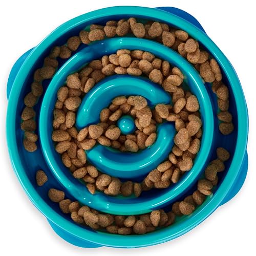 Outward Hound Fun Feeder Slo Bowl – Medium 2‑Cup Capacity, Slow Feeding, Small to Medium Dogs & Cats, Non‑Slip, Turquoise, Drop Pattern