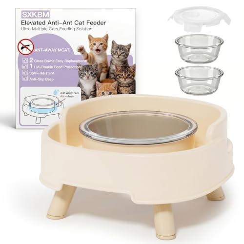 SXKBM Ant Not Cross Elevated Cat Bowls Mess Proof-2 Food Grade Glass Bowls & 1 Lids- No Spill Cat Food and Water Feeding Station for Cats&Puppy Indoor & Outdoor,No Whisker Fatigue Dish,Beige