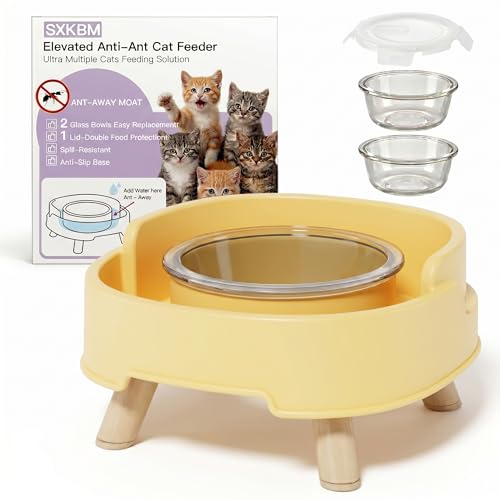 SXKBM Ant Not Cross Elevated Cat Bowls Mess Proof-2 Food Grade Glass Bowls & 1 Lids- No Spill Cat Food and Water Feeding Station for Cats&Puppy Indoor & Outdoor,No Whisker Fatigue Dish,Yellow