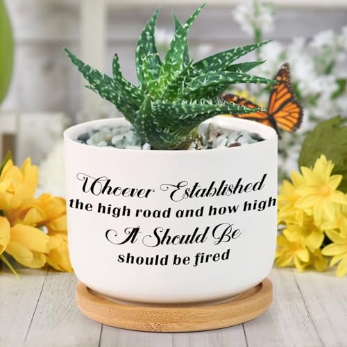 DreamAutumn Whoever Established The High Rood and How High A Should Be Should Be Fired Ceramic Planters Ceramic Pots with Saucers Orchid Pots for Plants Succulents Pots Office Desk Garden Home Decor