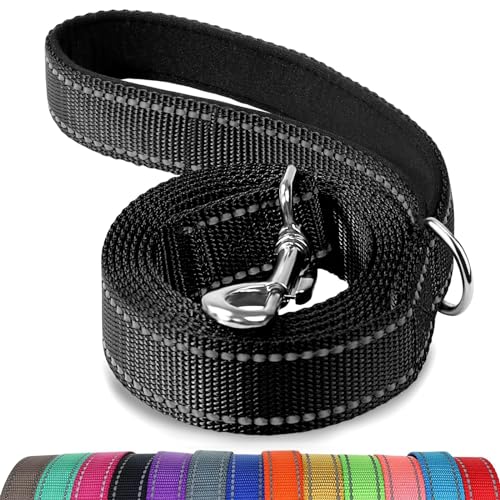 Joytale Dog Leash, 6 FT beidseitig reflektierend, gepolsterter Griff, Nylon-Heavy-Duty-Leinen für Spaziergänge mit mittelgroßen und großen Hunden, Black