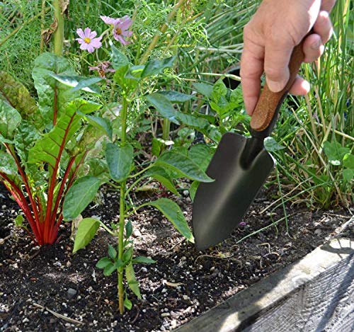 Olmsted Forge Garden Tool Set laid out for a garden bed
