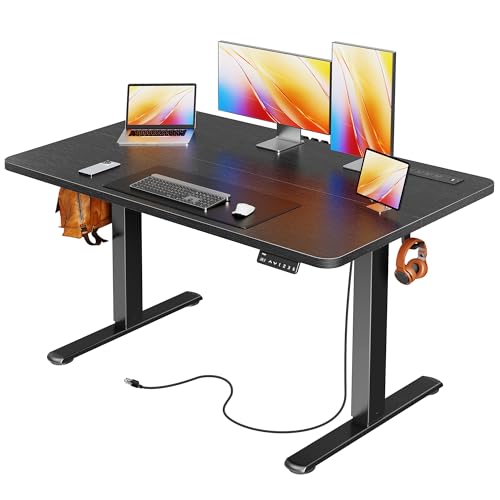 Huuger Electric Standing Desk