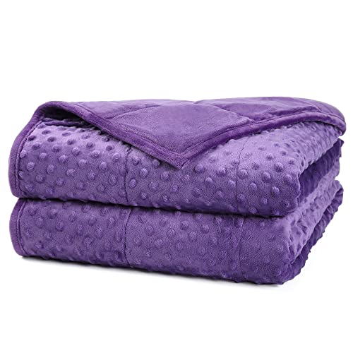 Alomidds Weighted Blanket, luxe velvet weighted blankets voor kinderen, warm en ademend zacht en comfortabel minky, schattige zware deken met premium glazen kralen (41"x60" 7LBS, Purple)